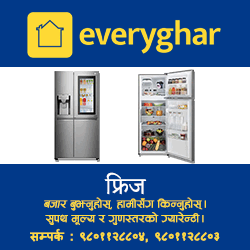 Everyghar box