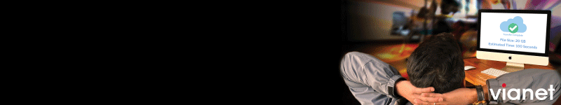vianet Below Content Banner 2