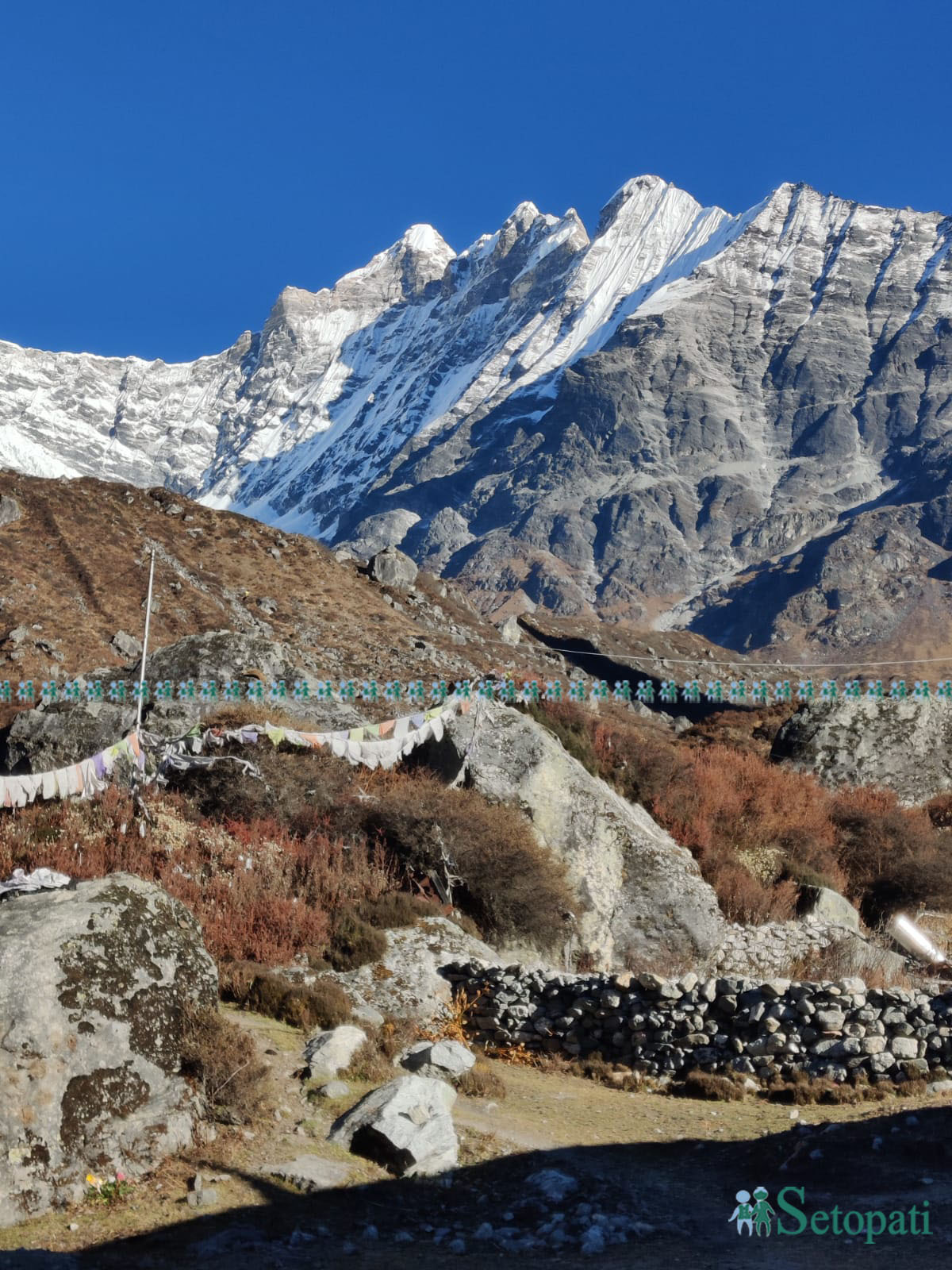 langtang1.jpg