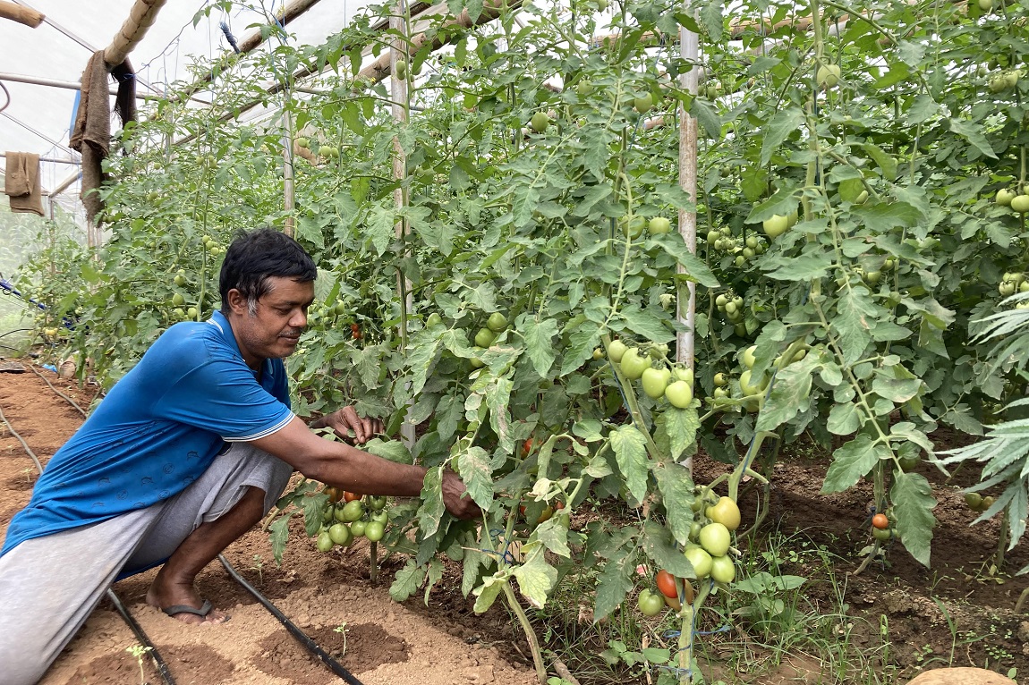 आजका तस्बिर- साउन ४