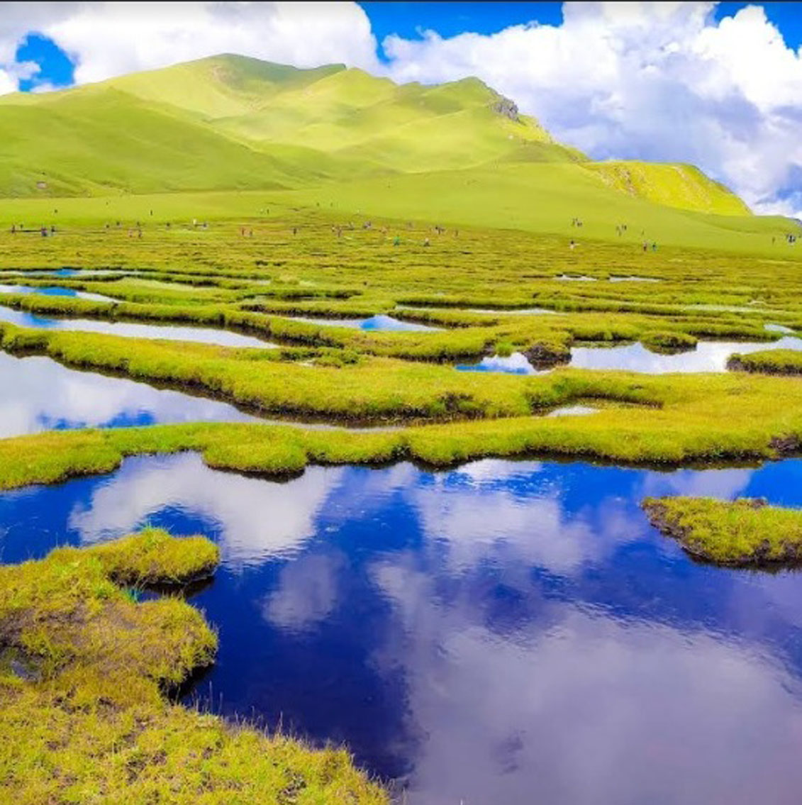 आजका तस्बिर- भदौ २५