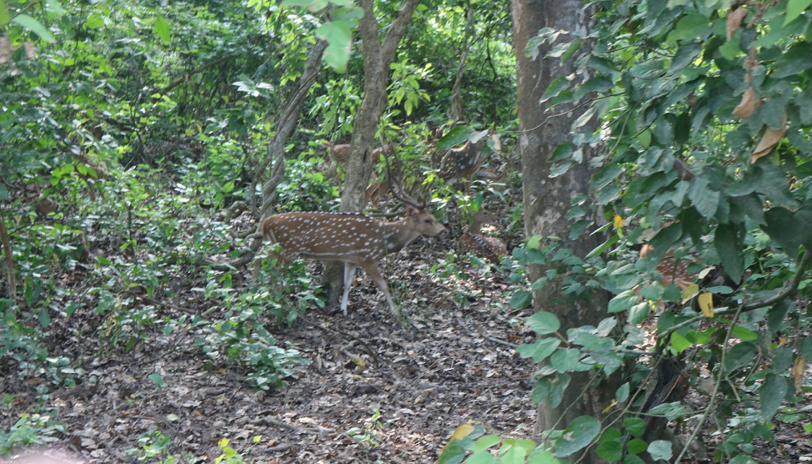 आजको तस्विर-जेठ २५