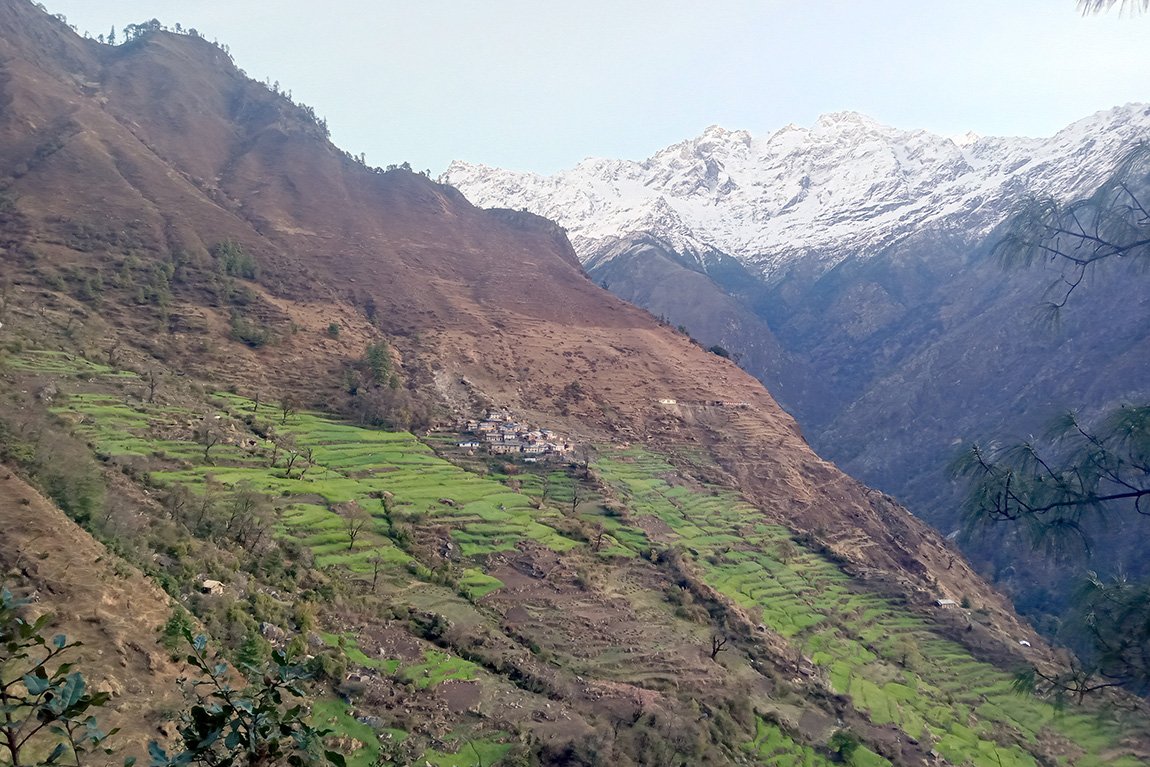 भरतपुरको चौबिसकोठीमा भ्रष्टाचार विरूद्धको कार्टुन प्रदर्शन गर्दै कार्टुनिष्ट प्रकाश थापा। तस्बिर: राजेश घिमिरे/सेतोपाटी