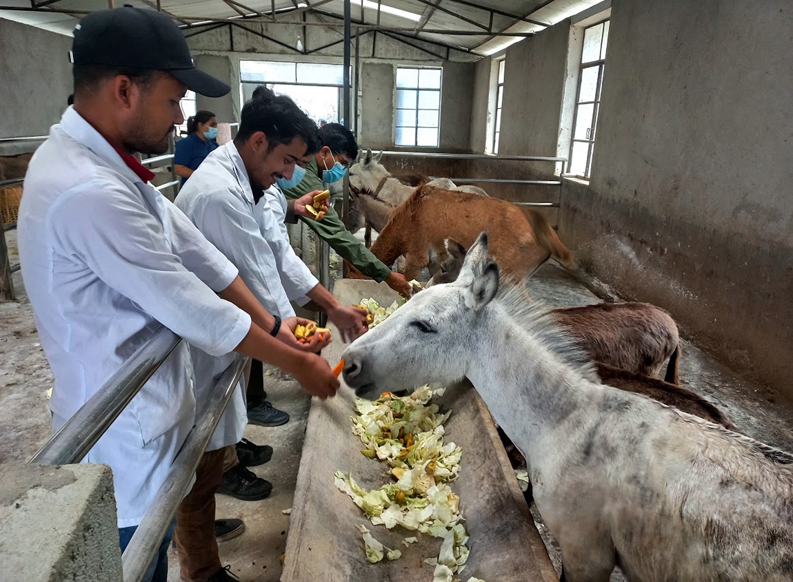 आजका तस्बिर- वैशाख २५