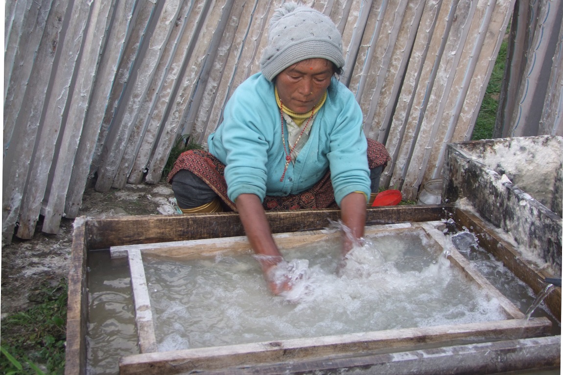 आजका तस्बिर- वैशाख ६
