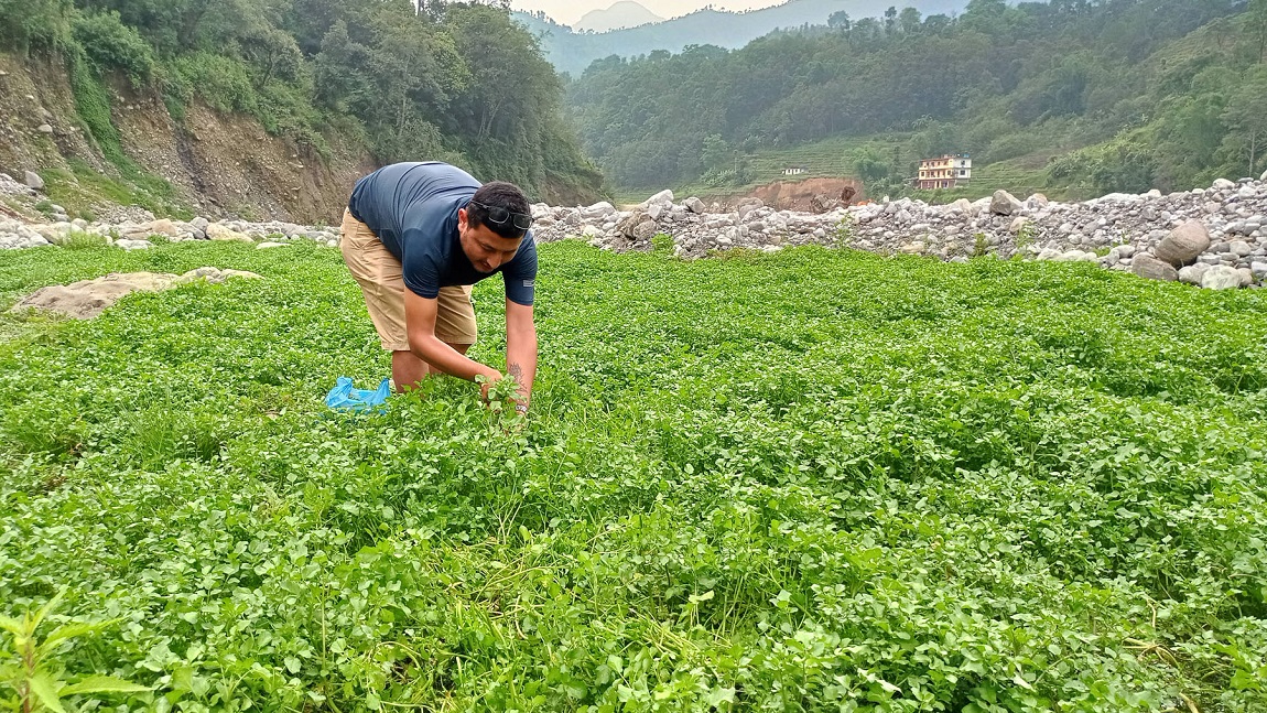 आजका तस्बिर- जेठ ३०