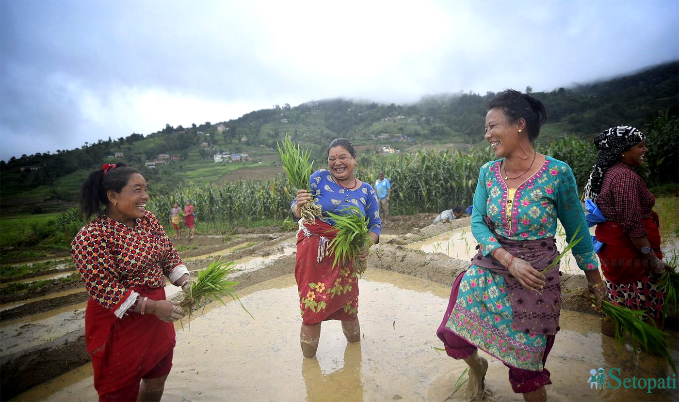 आजका तस्बिर- असार १५
