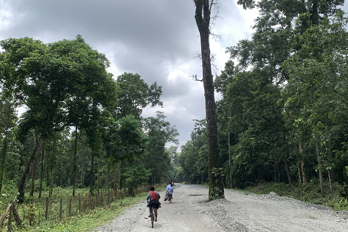 आजका तस्बिर- साउन ३०