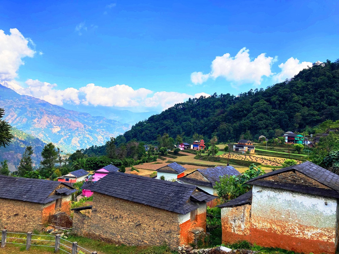 आजका तस्बिर- कात्तिक २६