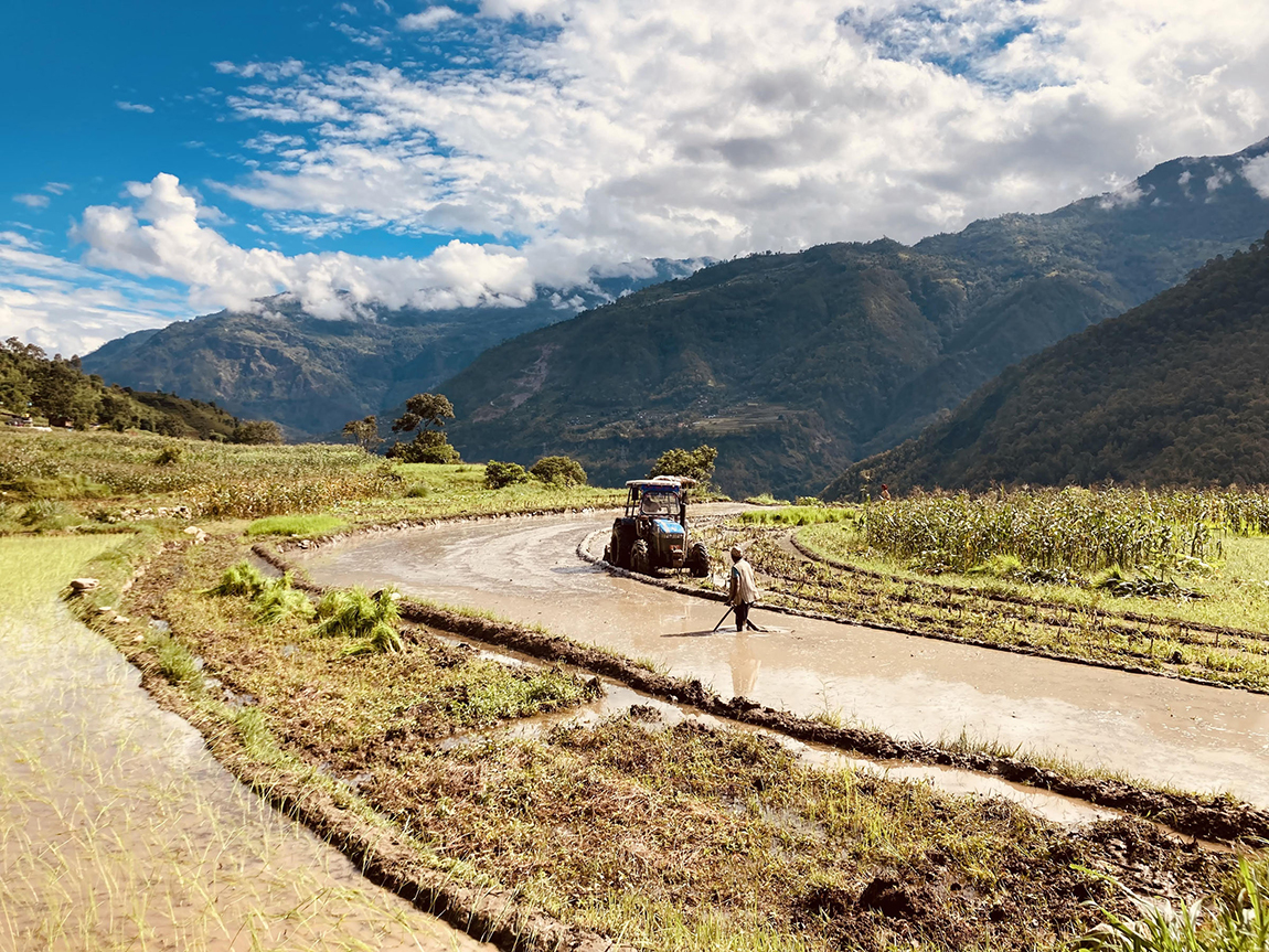आजका तस्बिर- असार २५