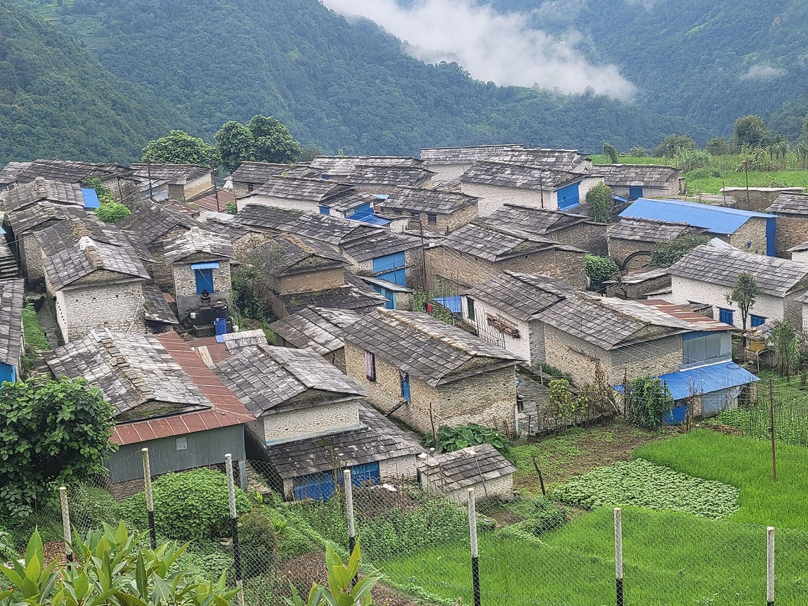 आजका तस्बिर- भदौ २३