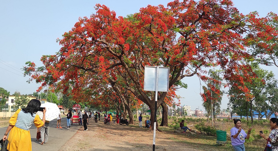 आजका तस्बिर-वैशाख २१