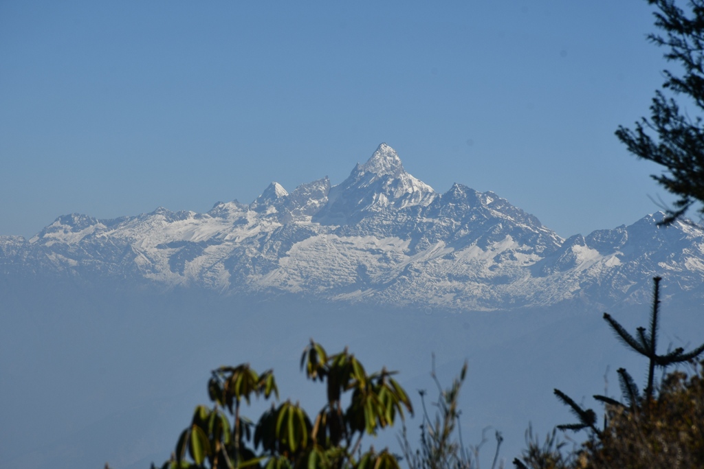 तस्बिरः सेतोपाटी