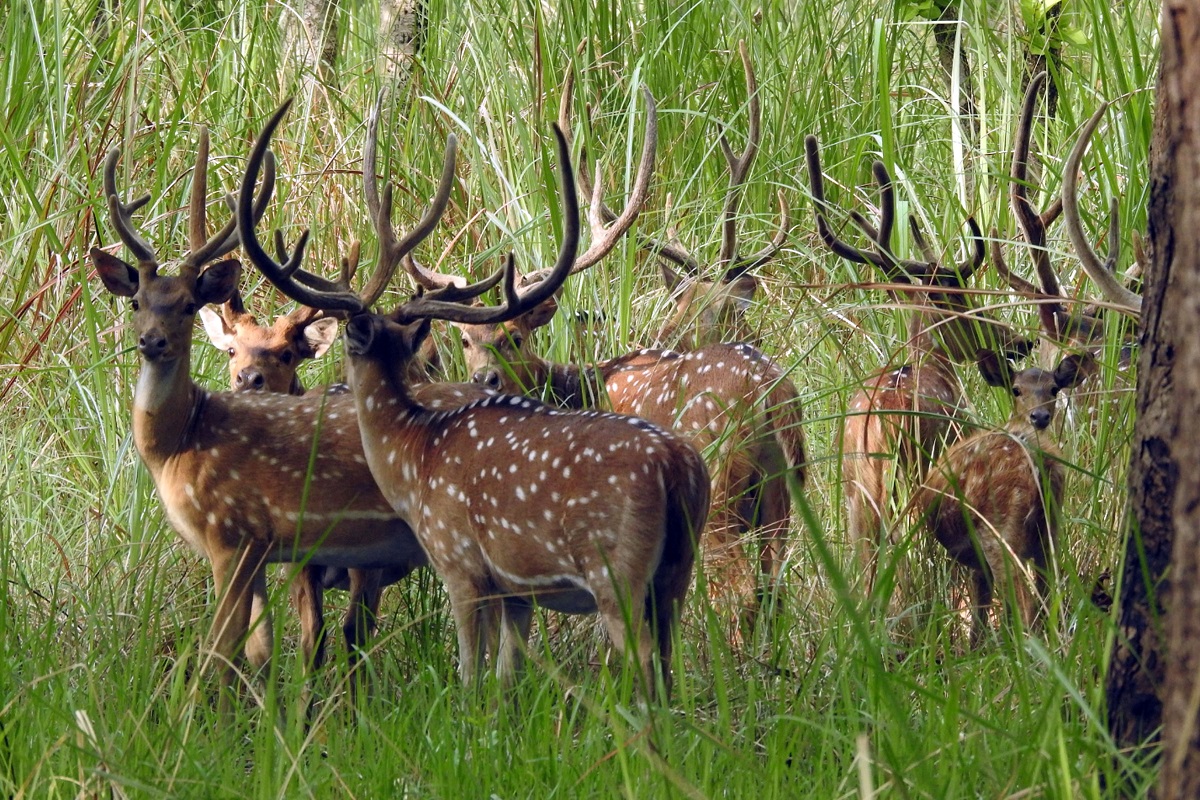 आजका तस्बिरहरू- वैशाख १९