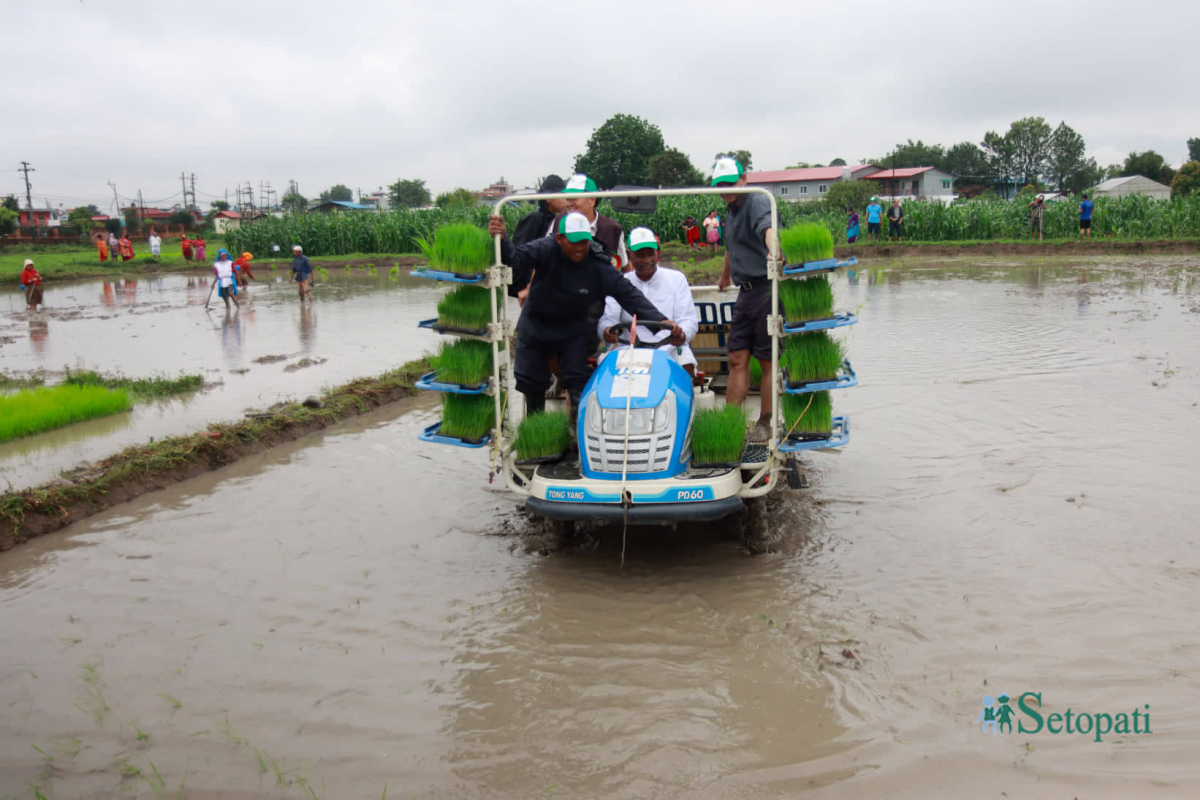 आजका तस्बिर- असार १५