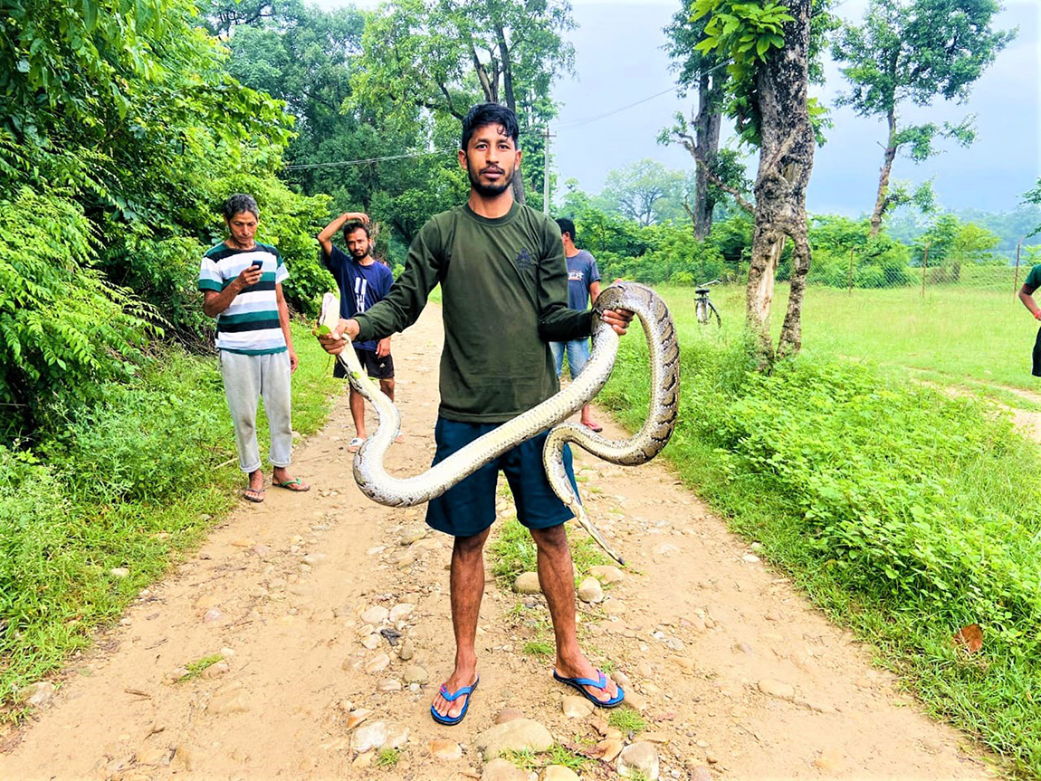 आजका तस्बिर- भदौ ४