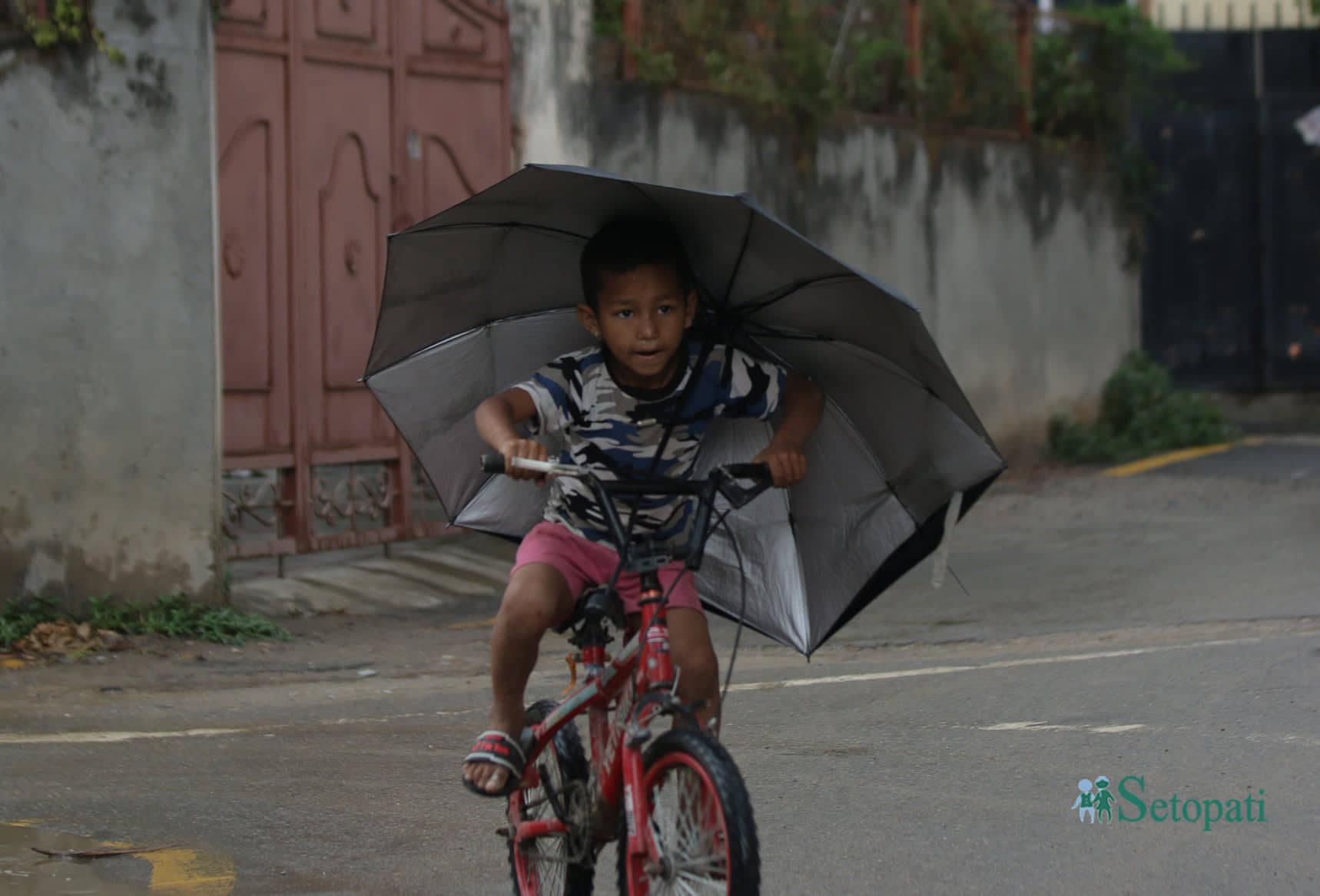 काठमाडौंको सामाखुसीमा पानी परेपछि छाता ओढेर साइकल चलाउँदै एक बालक। तस्बिरः नवीनबाबु गुरूङ/सेतोपाटी