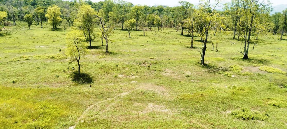 आजका तस्विरहरु-जेठ १२