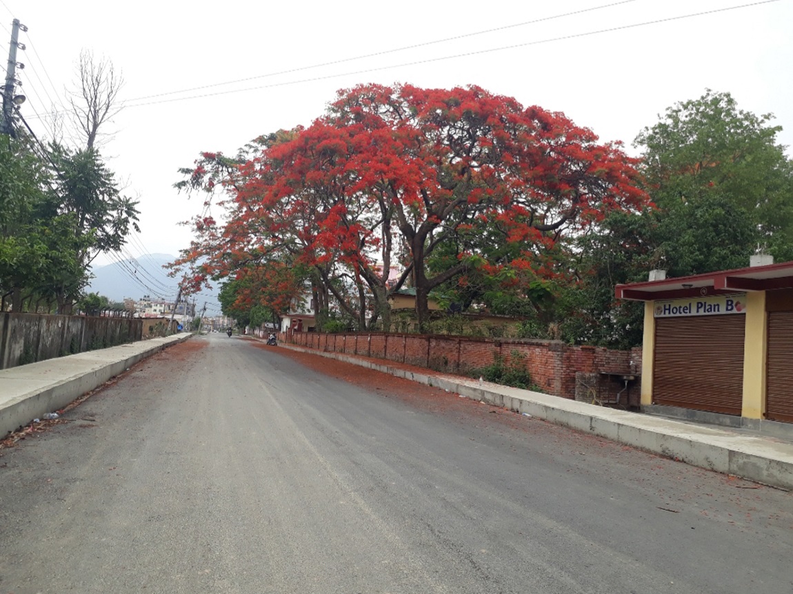 आजका तस्बिरहरू- वैशाख १६