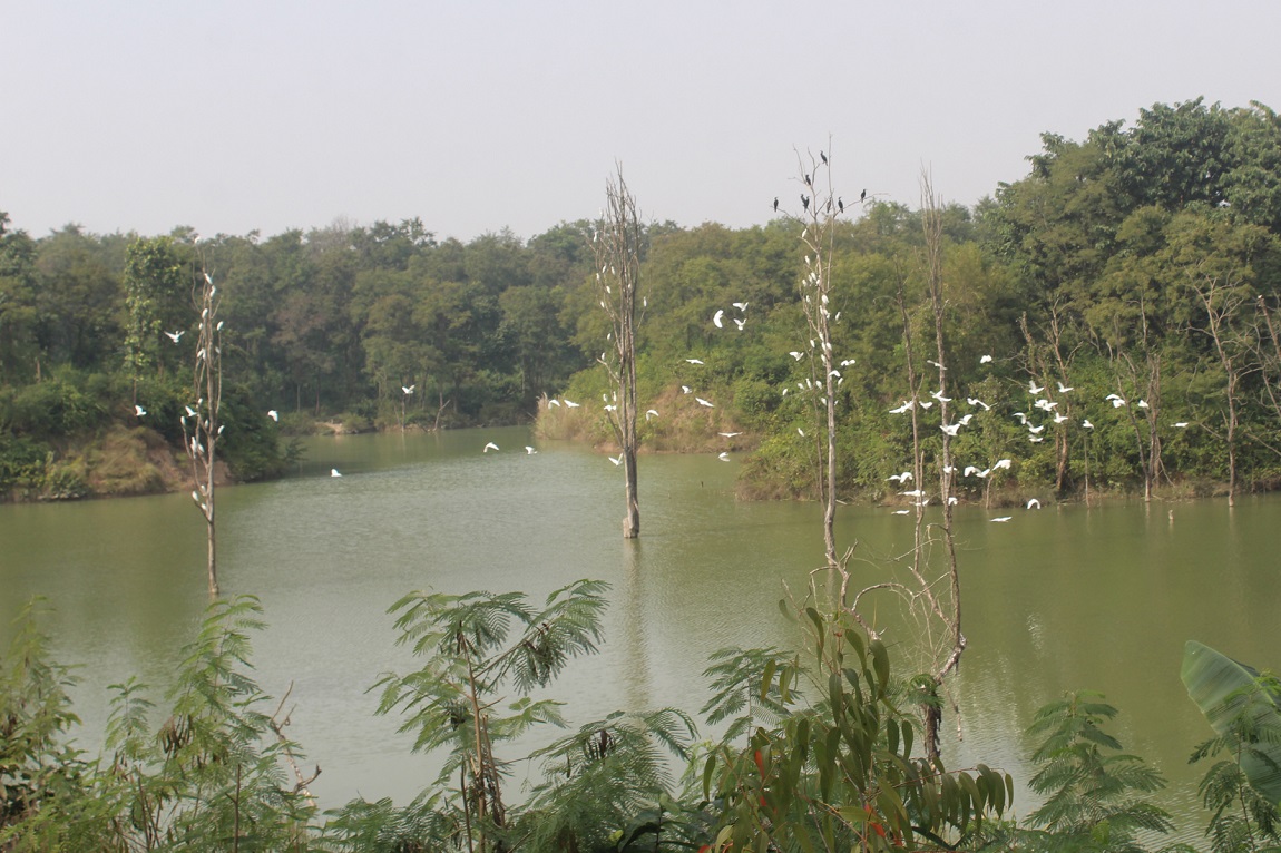 आजका तस्बिर- कात्तिक २३