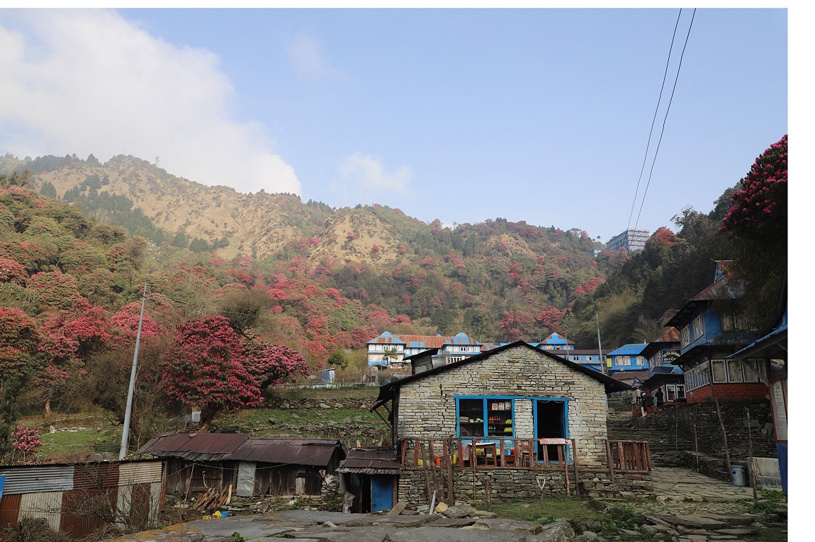 आजका तस्बिरहरू- चैत २३