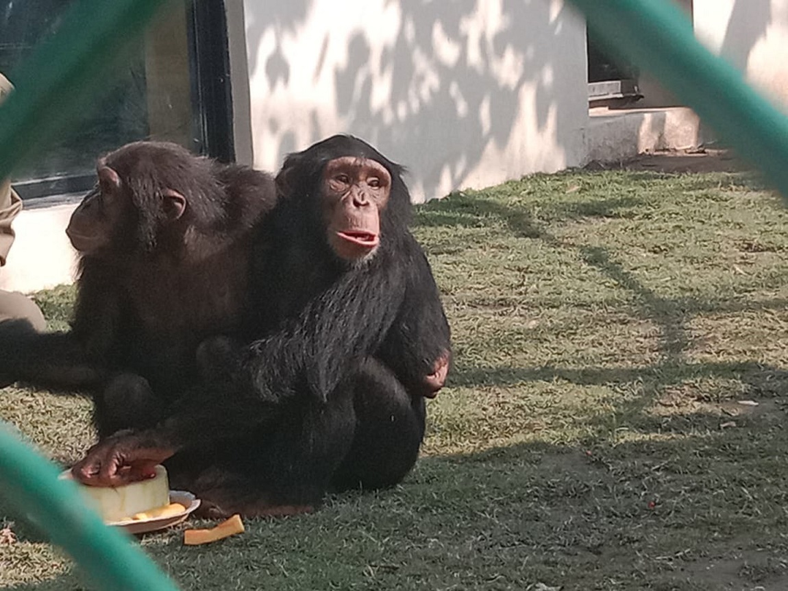 आजका तस्बिरहरू- वैशाख ९