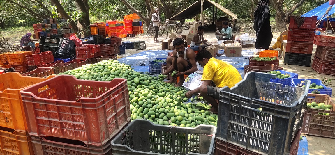 आजका तस्बिर- जेठ २७