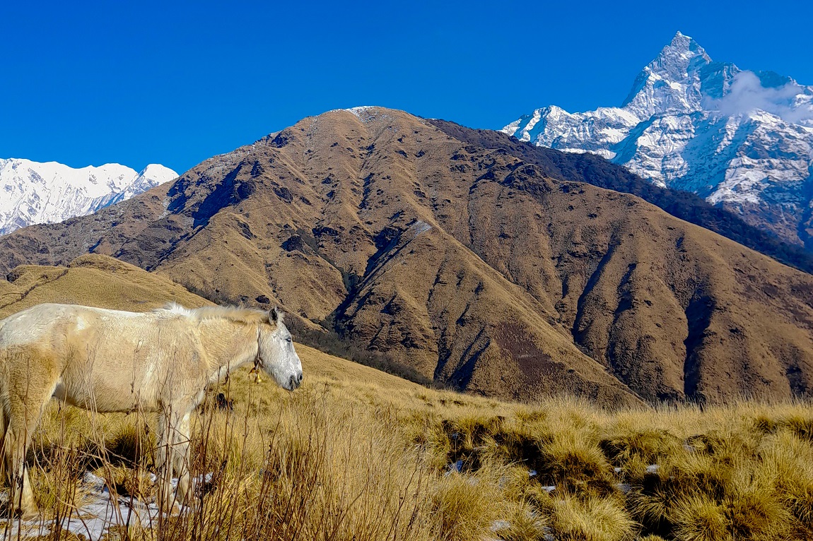 राष्ट्रपति विद्यादेवी भण्डारीको बिदाइको क्रममा प्रधानमन्त्री पुष्पकमल दाहाल प्रचण्डले मायाको चिनो दिँदै। तस्बिर: नवीनबाबु गुरूङ/सेतोपाटी