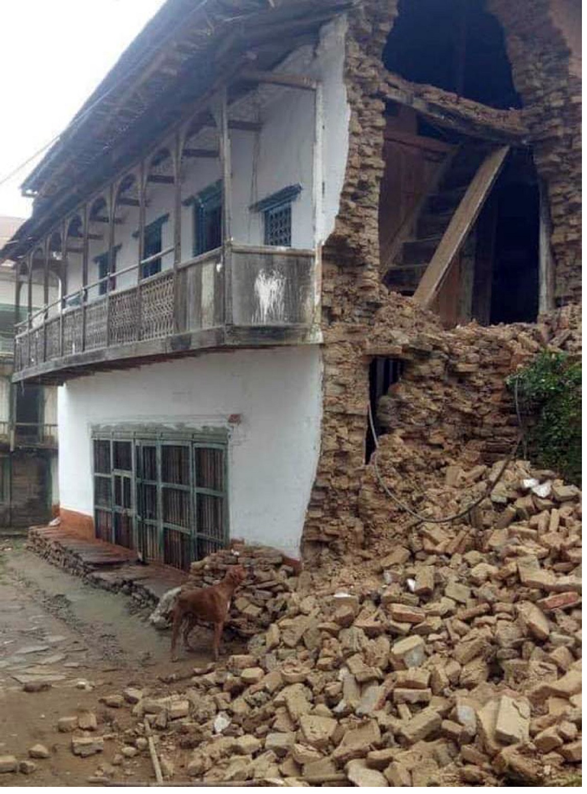 आजका तस्बिर: साउन १५