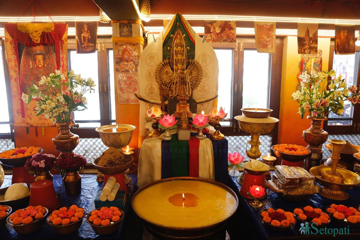 फूलको रस चुस्दै माहुरी। तस्बिर: नारायण महर्जन