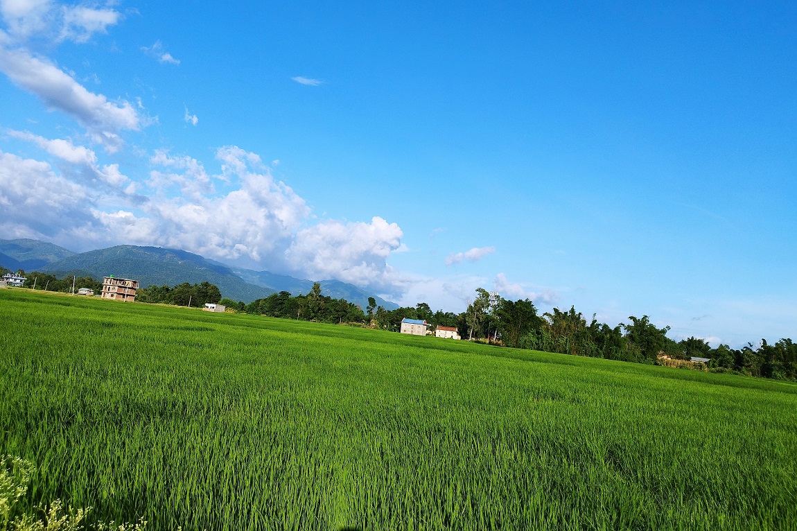 आजका तस्बिर- साउन २६