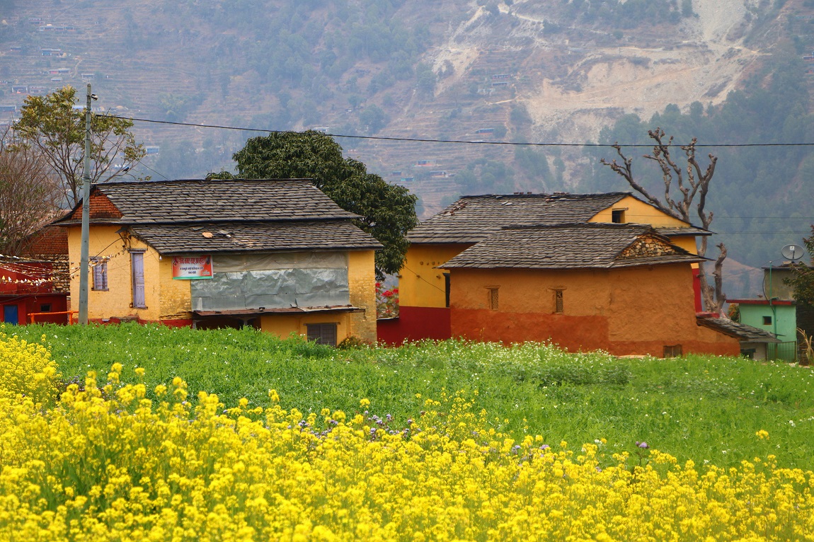 बलात्कार अभियुक्त सन्दीप लामिछानेलाई राष्ट्रिय टिममा समावेश गरेपछि नेपाल क्रिकेट संघ (क्यान) विरूद्ध प्रदर्शन भएको छ।  शनिबार दिउँसो माइतीघर मण्डलमा क्यानले अभियुक्तलाई राष्ट्रिय टिममा समावेश गरेको भन्दै विरोध प्रदर्शन गरेको हो। तस्बिर: नवीनबाबु गुरूङ