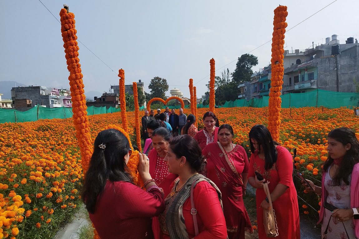 आजका तस्बिर- कात्तिक २४