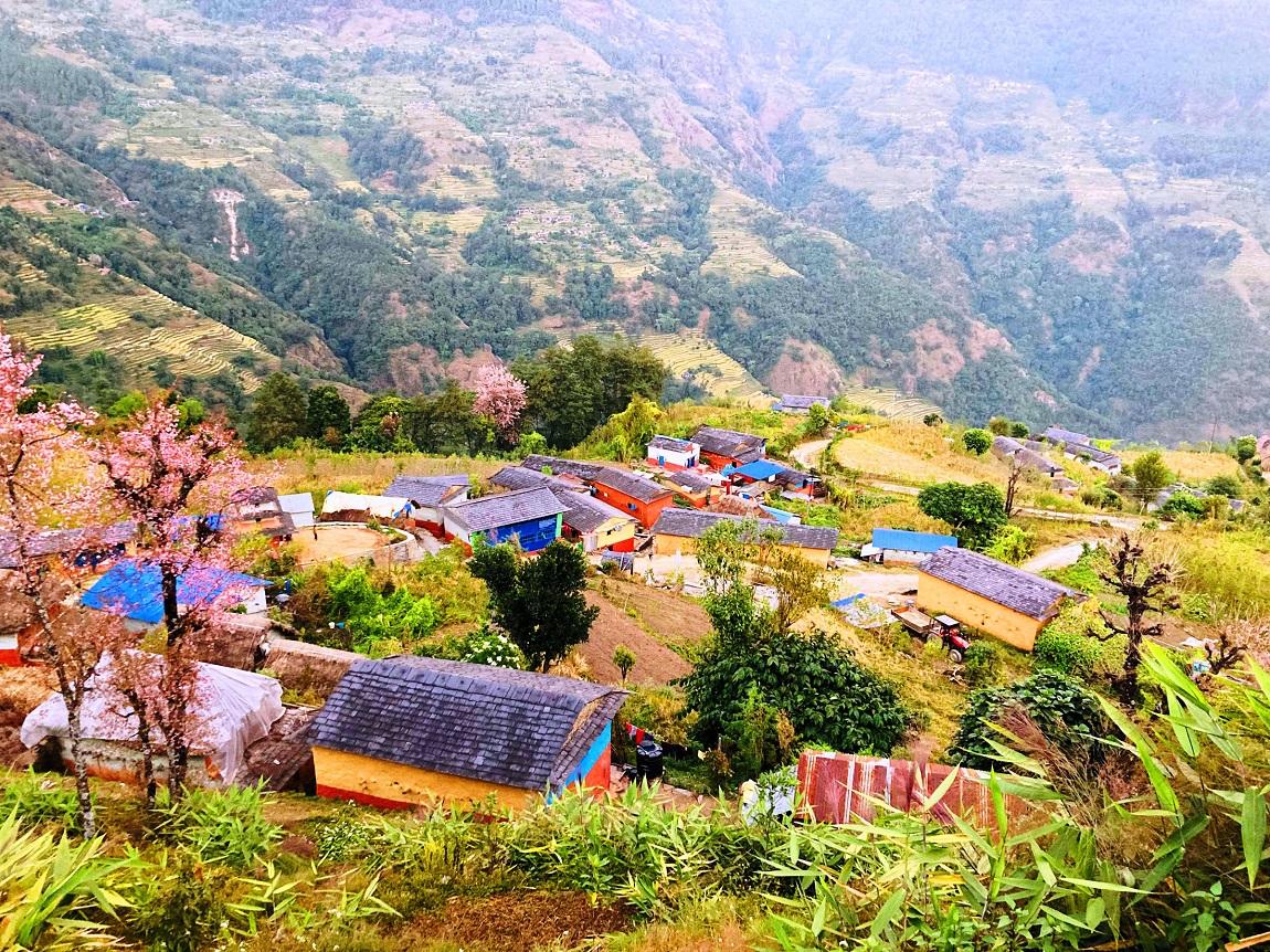 आजका तस्बिर- कात्तिक १५