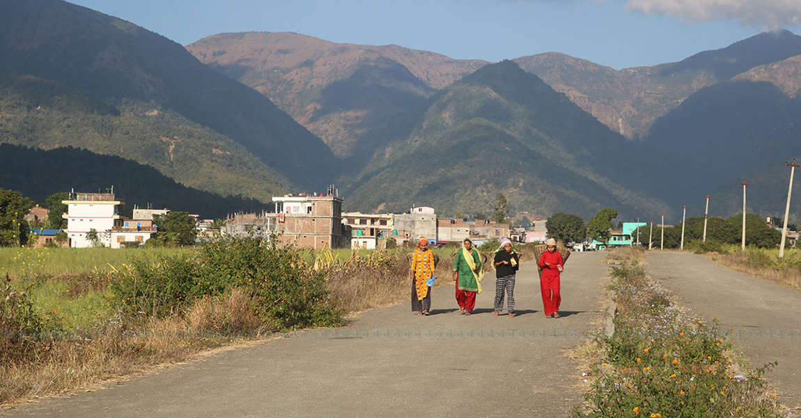 ललितपुरको कुपण्डोलस्थित एक सार्वजनिक पार्कमा रंग लगाउँदै एक कामदार। तस्वीर : नवीनबाबु गुरूङ/ सेतोपाटी