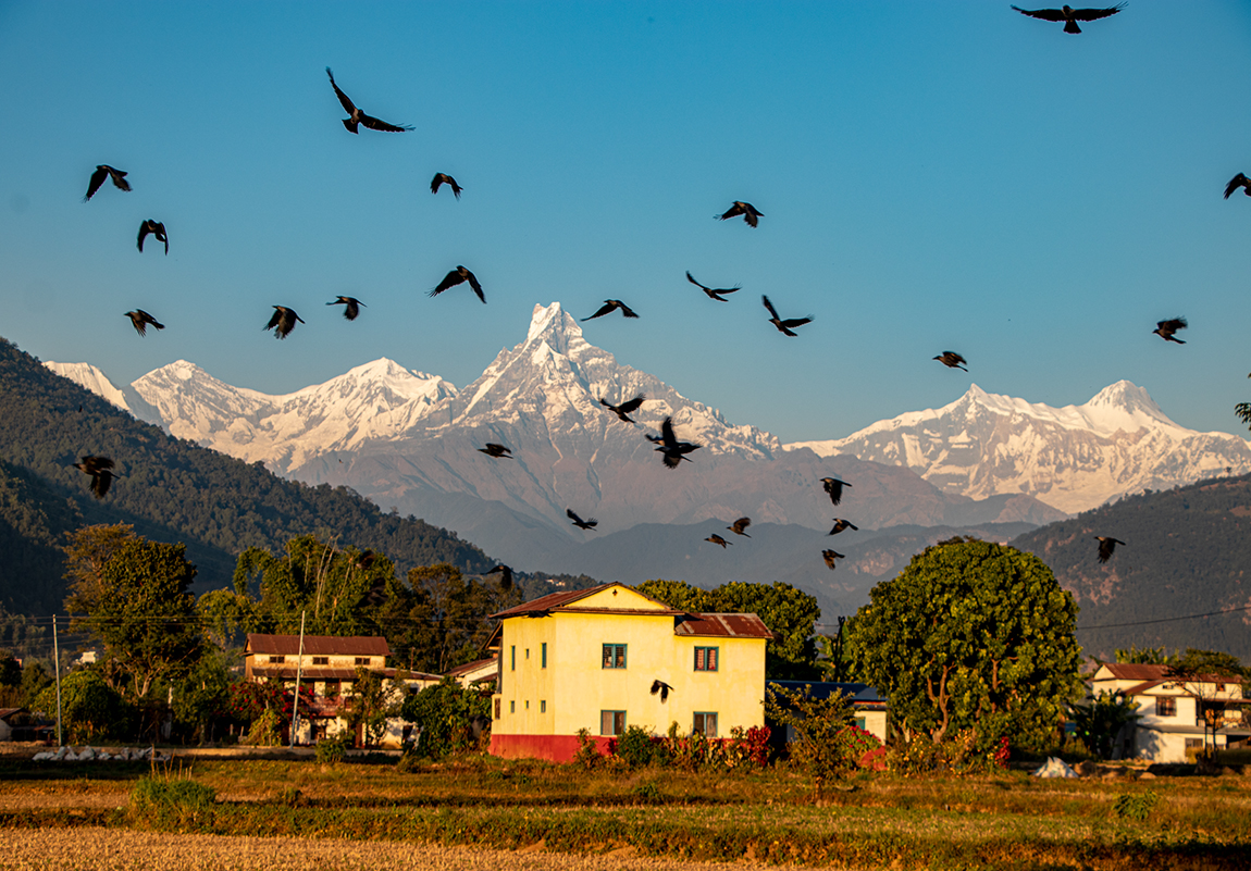 आजका तस्बिर- मंसिर १०