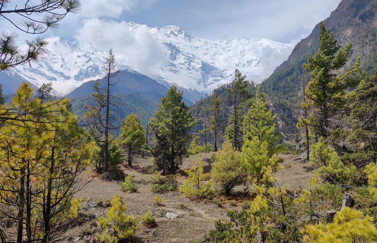 दुवै खुट्टा गुमाएका विश्व कीर्तिमानी हरि बुढामगरलाई विमानस्थलमा भव्य स्वागत गरिएको छ। त्रिभुवन विमानस्थलमा संस्कृति तथा पर्यटन मन्त्री सुदन किराती, थबाङी समाज, अन्तर्राष्ट्रिय रोल्पाली सेवा समाज, नेपाल मगर एसोसिएनलगायतले भव्य स्वागत गरेका हुन्। तस्बिर: नवीनबाबु गुरूङ