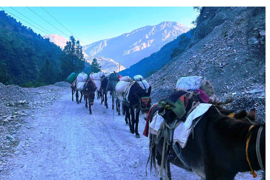 आजका तस्बिरहरू-कात्तिक १४