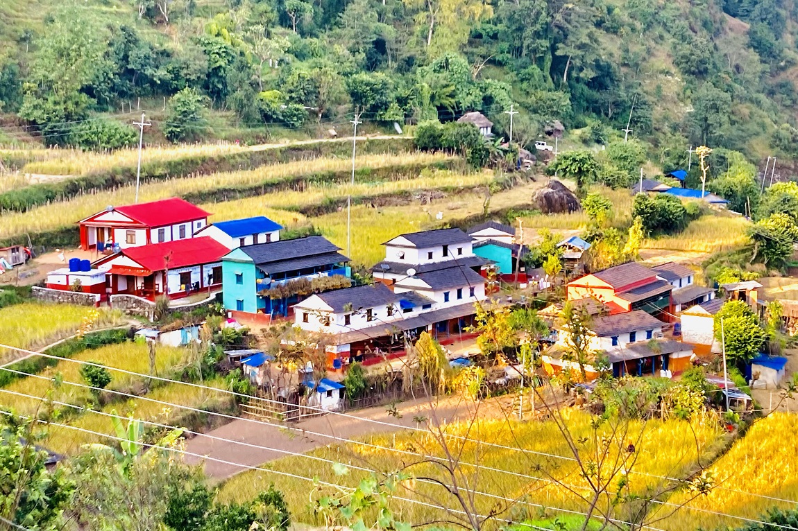 आजका तस्बिर- मंसिर ३