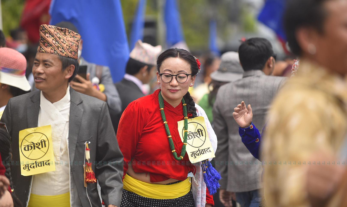 फूलको रस चुस्दै माहुरी। तस्बिर: नारायण महर्जन