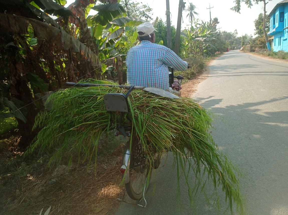 उपराष्ट्रपतिको निर्वाचनको लागि चार जनाको मनोनयन दर्ता भएको छ। सत्ता गठबन्धनबाट रामसहाय यादव, ममता झा र प्रमिला यादवले उम्मेदवारी दर्ता गरेका छन् भने एमालेबाट अष्टलक्ष्मी शाक्यले उम्मेदवारी दिएकी छन्। तस्बिर: नवीनबाबु गुरूङ
