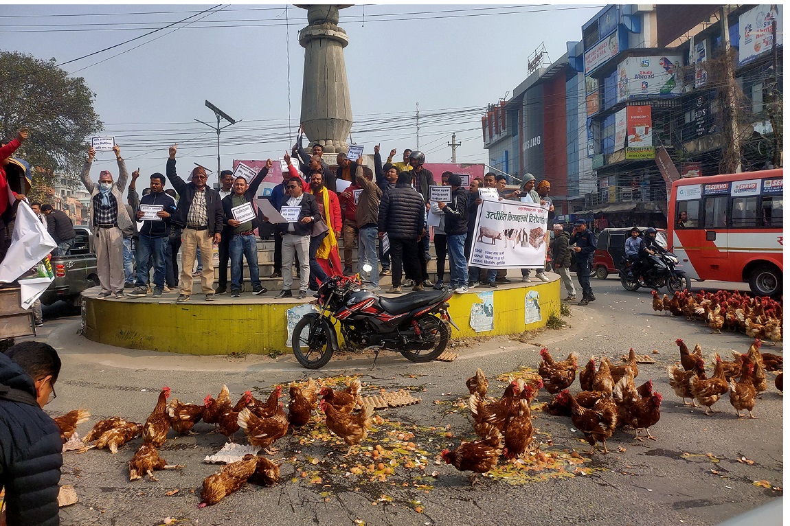 काठमाडौं महानगरपालिकाले मैतीदेवी चोकमा रहेको प्रहरी बिट भत्काएको छ। सडक अतिक्रमण गरी बनाइएको संरचना हटाउने महानगरको अभियान अन्तर्गत मंगलबार मैतीदेवी चोकमा रहेको प्रहरी बिट नगर प्रहरीले प्रहरीकै सहकार्यमा हटाएको हो। तस्बिर: नवीनबाबु गुरूङ