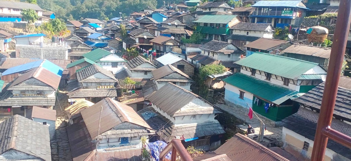 आजका तस्बिर- कात्तिक २७