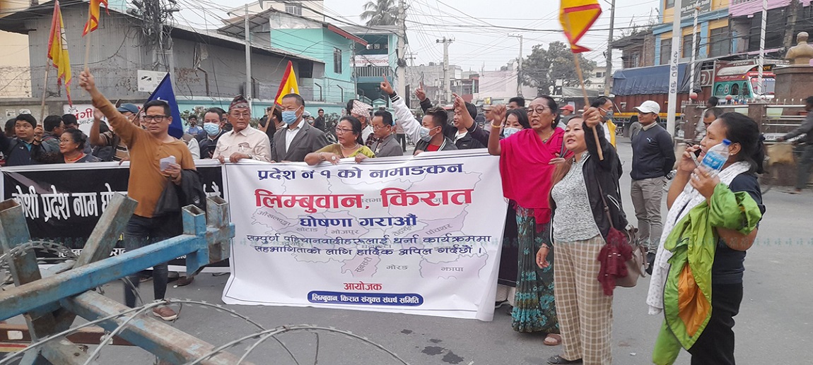 पाल्पा सदरमुकाम तानसेन बजारस्थित दरबार संग्रहालयको अगाडि ढाका कपडाका सामान बिक्रि गर्ने एउटा पसल। तानसेन घुम्ने पर्यटकहरु परिवार, आफन्त र इष्टमित्रका लागि यहाँ उत्पादित ढाका कपडाका सामानहरु किनेर लैजान्छन्। ढाकासँगै पाल्पाको करूवा पनि राम्रो कोसेलीका रुपमा स्थापित छ। तस्बिरः सेतोपाटी।