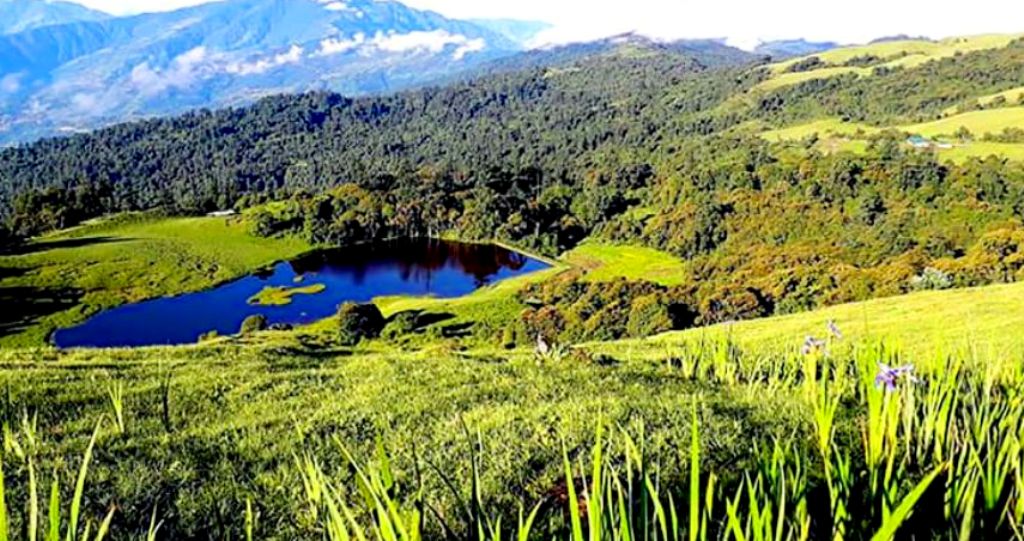 आजका तस्बिरहरू- भदौ ३