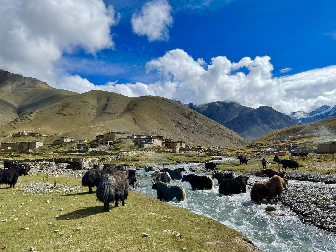 आजका तस्बिरहरू- असोज ७
