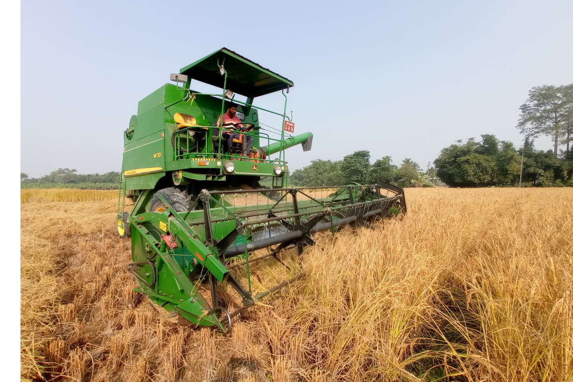 आजका तस्बिर- मंसिर २