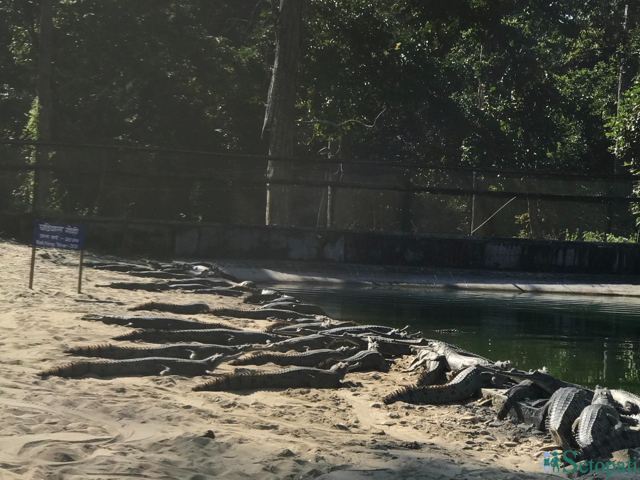 gadiyal center 10.jpg