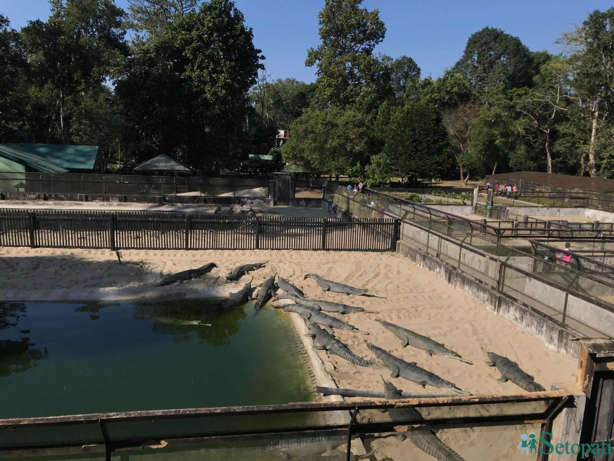 gadiyal center 13.jpg