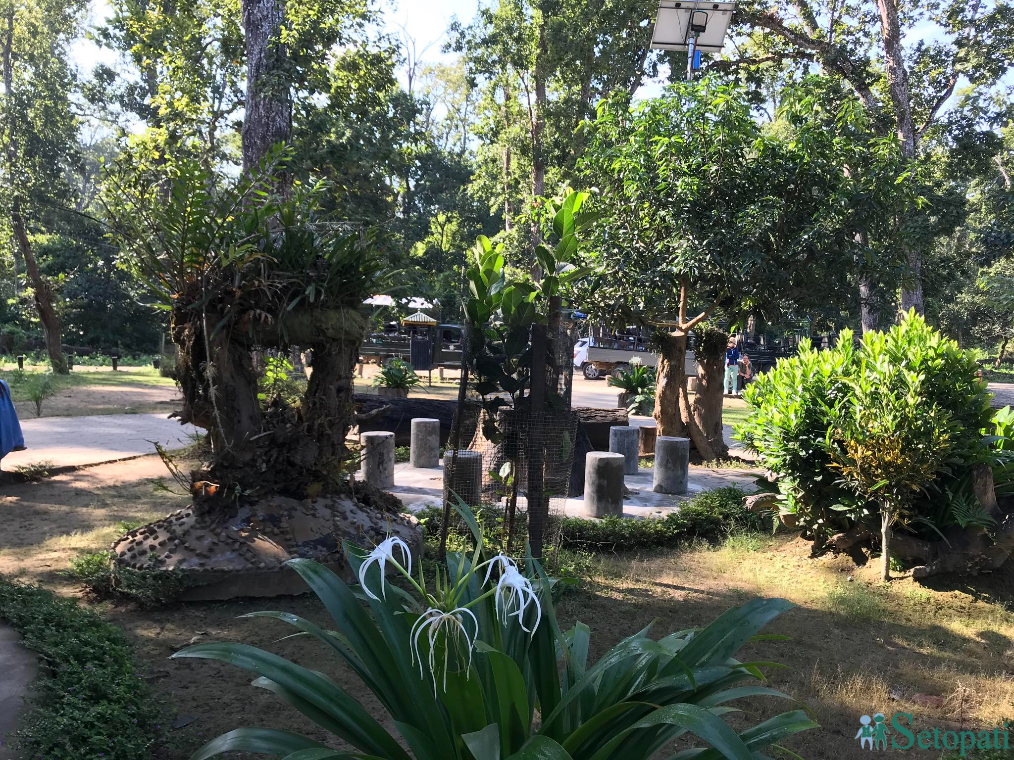 gadiyal center 14.jpg